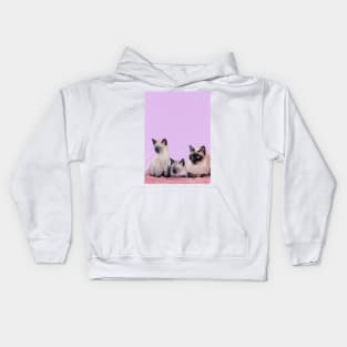 Distracted Kids Hoodie